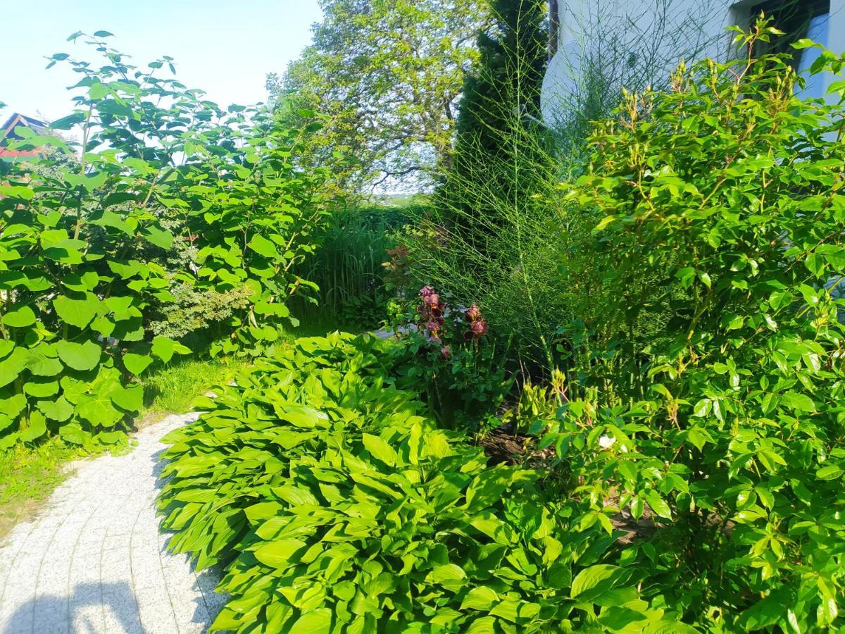 Wczasy Sandi Chlapowo Władysławowo Exterior foto