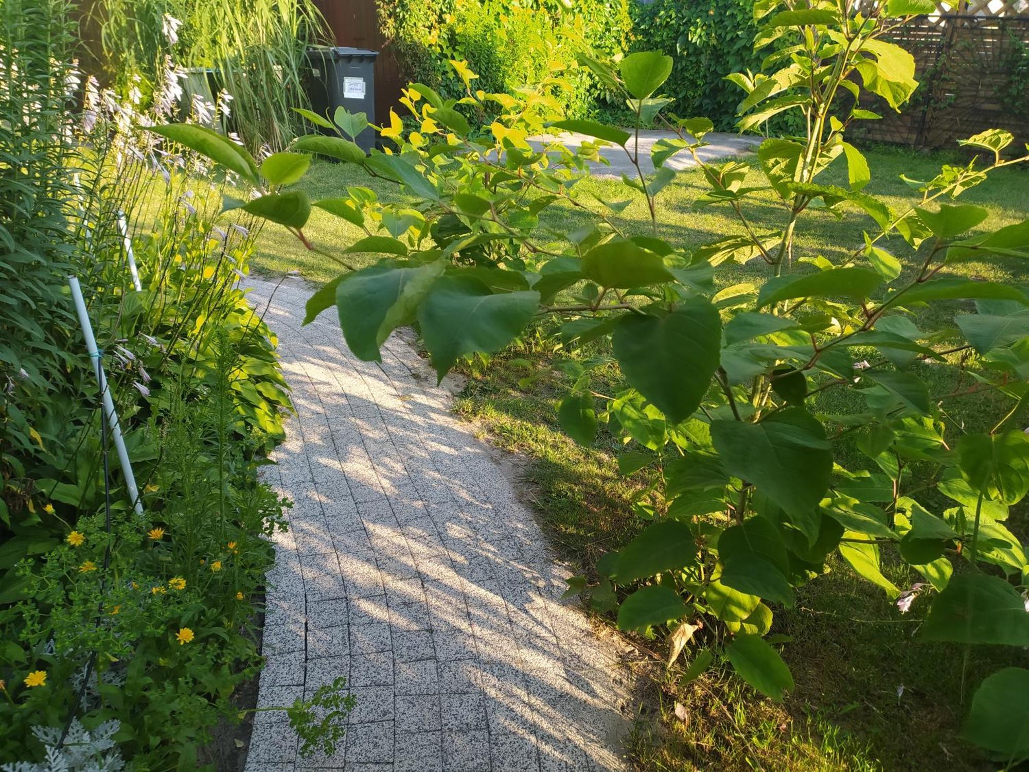 Wczasy Sandi Chlapowo Władysławowo Exterior foto